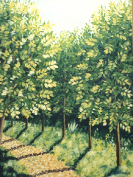 passaggio alberato2 30x40 1994