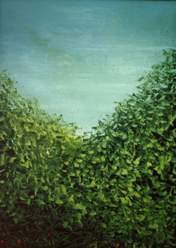 sera caos verde 50x70 1995